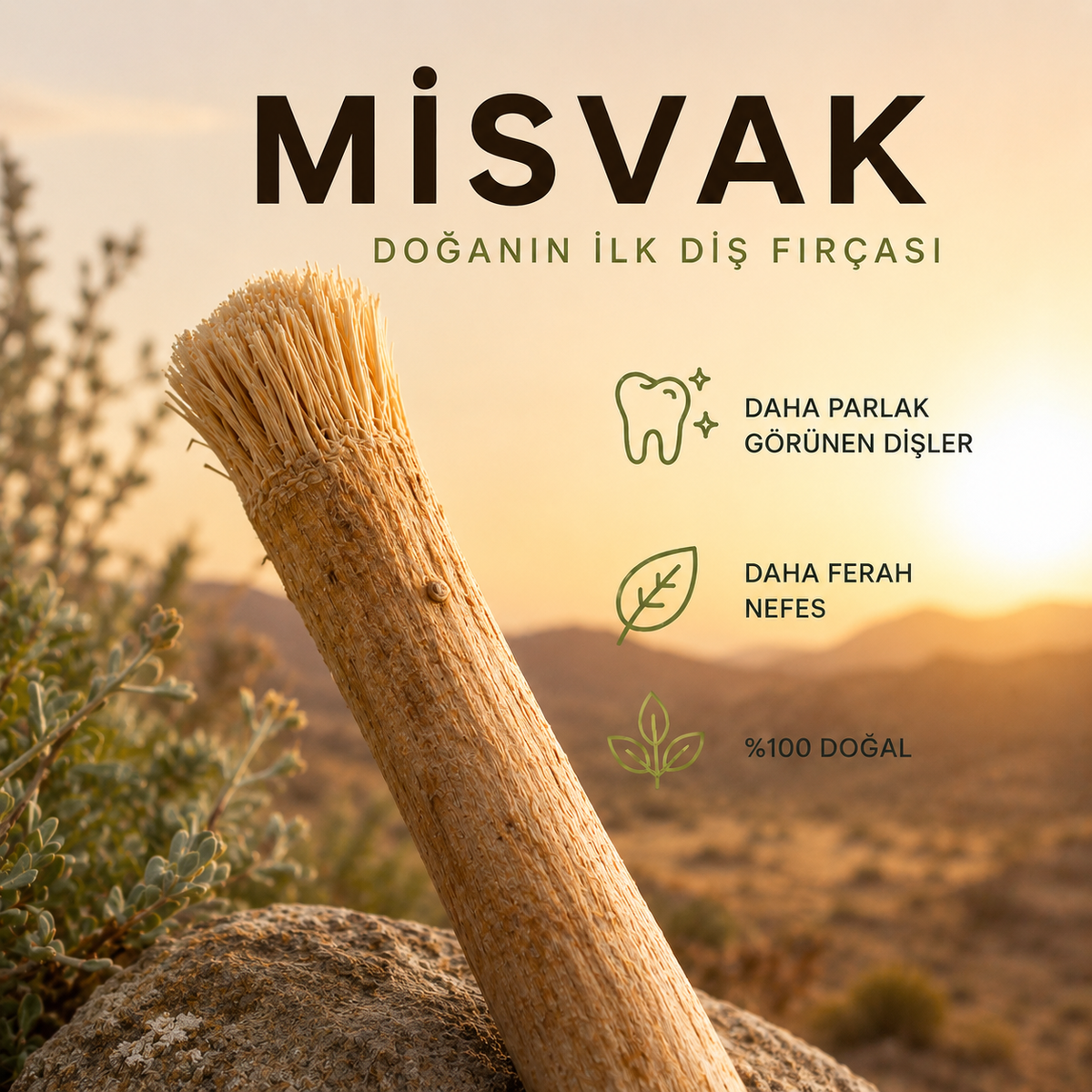 Misvak - Doğanın Orijinal Diş Fırçası
