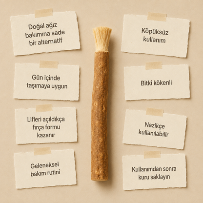Misvak - Doğanın Orijinal Diş Fırçası
