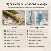 Misvak - Doğanın Orijinal Diş Fırçası